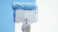 Od czego zależy wytrzymałość farby na ścianie?